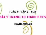 Bài 1 trang 10 Toán 9 tập 2 Chân trời sáng tạo